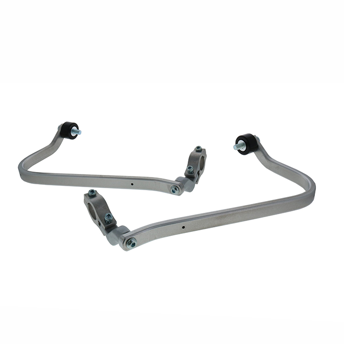 Daisy on the Ohoopee